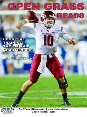 Open Grass Football System